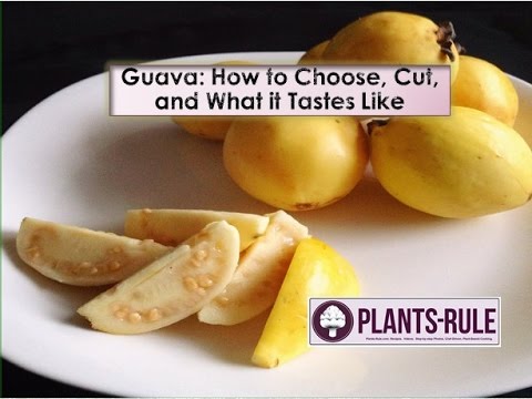 Guava: How to Choose, Cut, and What it Tastes Like from Plants-Rule