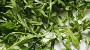 arugula