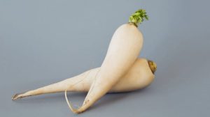 daikon radish