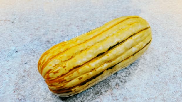 delicata squash