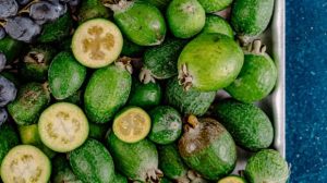 feijoa