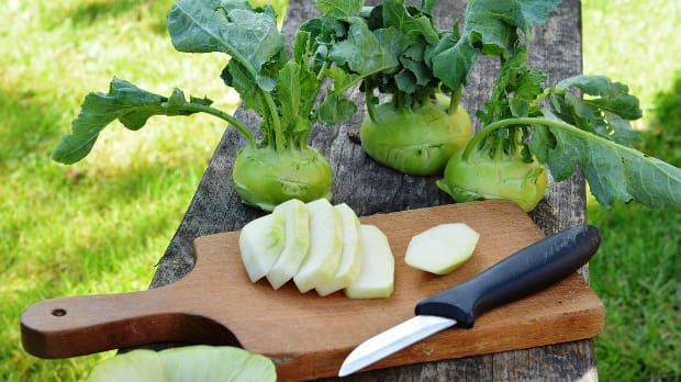 kohlrabi